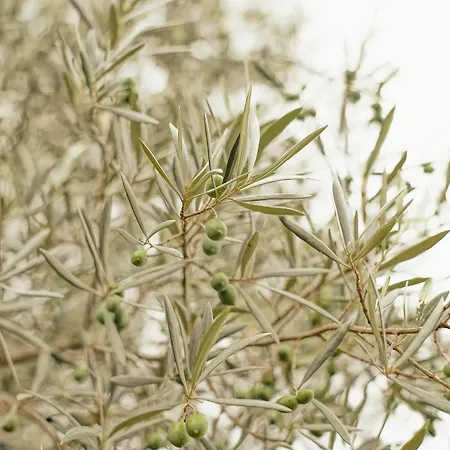 La Bleue, Avec Hammam, Piscine Et Jacuzzi Villa