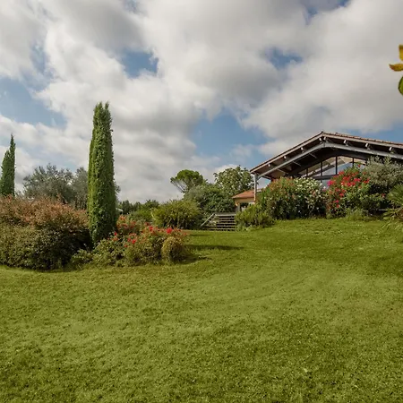 Villa La Villa Bleue, 800M2, Hammam, Piscine Et Jacuzzi