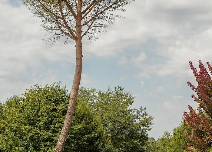 Villa La Bleue, 800m2, Hammam, Piscine Et Jacuzzi