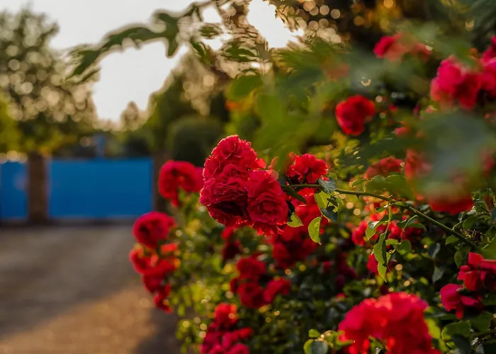 Villa La Bleue, 800m2, Hammam, Piscine Et Jacuzzi *