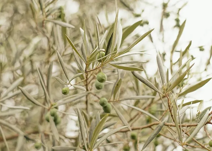 La Bleue, 800m2, Hammam, Piscine Et Jacuzzi Villa